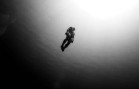 The Freediver