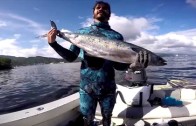 Spearfishing Dogtooth Tuna & Wahoo in Tonga