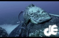 Deep spearfishing