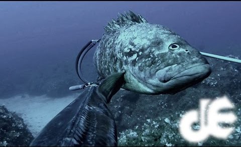 Deep spearfishing