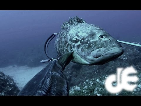 Deep spearfishing