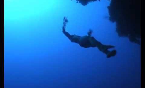 FREEDIVING THE ARCH