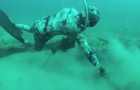 Spearfishing World Record Grouper and giant Lobsters