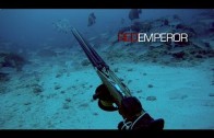 Spearfishing Dogtooth Tuna & Wahoo in Tonga