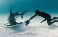 Spearfishing Dogtooth Tuna & Wahoo in Tonga