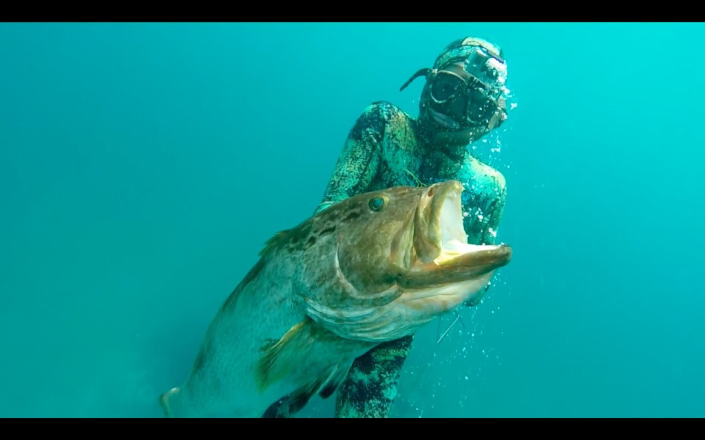 SEA OF MONSTERS - SPEARFISHING BAHAMAS