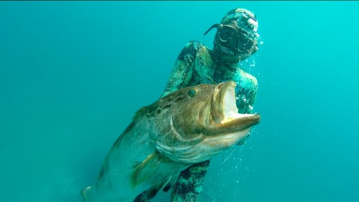 SEA OF MONSTERS – SPEARFISHING BAHAMAS