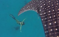 Spearfishing Dogtooth Tuna & Wahoo in Tonga