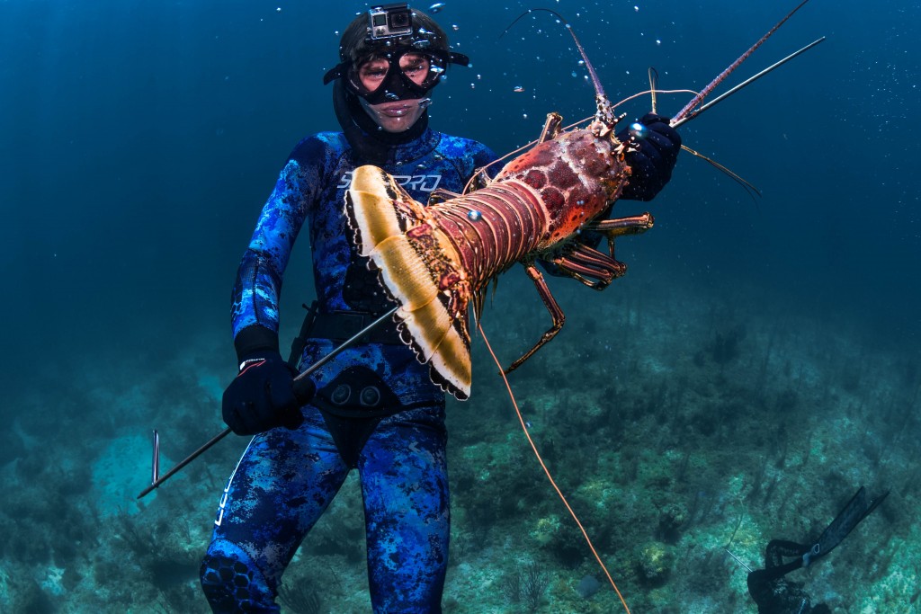 BAHAMAS SPEARFISHING