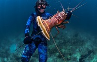 Spearfishing Dogtooth Tuna & Wahoo in Tonga