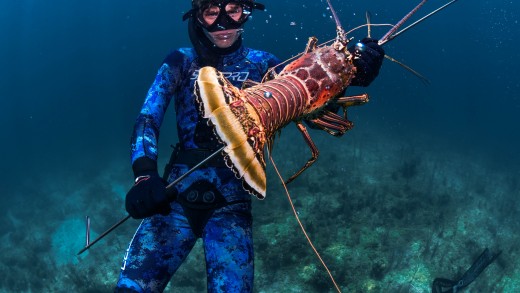 BAHAMAS SPEARFISHING