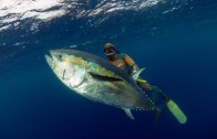 Spearfishing Dogtooth Tuna & Wahoo in Tonga