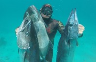 Spearfishing Dogtooth Tuna & Wahoo in Tonga