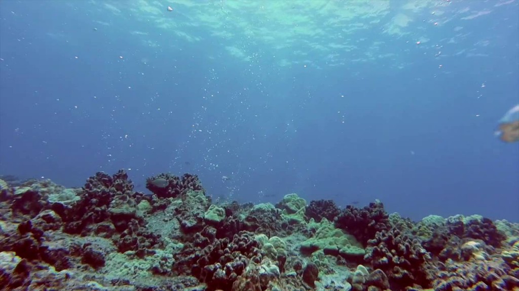 FREEDIVING 30M LAVA TUBE