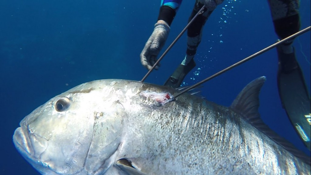 SPEARFISHING HAWAII MAUI 