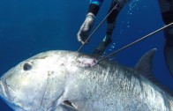 Spearfishing Dogtooth Tuna & Wahoo in Tonga