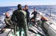 Spearfishing Dogtooth Tuna & Wahoo in Tonga