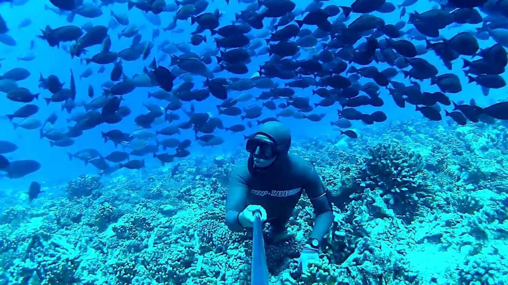 SURROUNDED - FREEDIVING FRENCH POLYNESIA