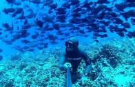 SURROUNDED – FREEDIVING FRENCH POLYNESIA