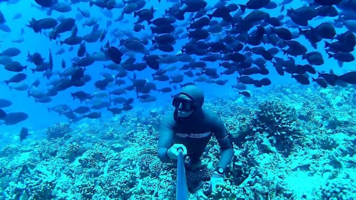 SURROUNDED – FREEDIVING FRENCH POLYNESIA