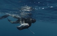 Deep Spearfishing in Turkey