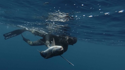 Deep Spearfishing in Turkey