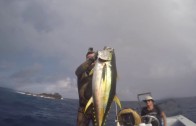 Spearfishing Dogtooth Tuna & Wahoo in Tonga