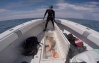 Neritic Spearfishing with a Polespear