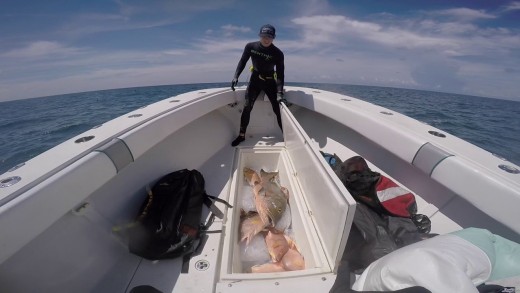 Neritic Spearfishing with a Polespear