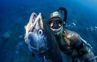 Spearfishing Dogtooth Tuna & Wahoo in Tonga