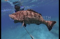 BIG GROUPER WITH A POLE SPEAR.