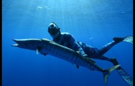 Spearfishing Dogtooth Tuna & Wahoo in Tonga