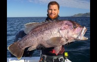 Spearfishing Dogtooth Tuna & Wahoo in Tonga