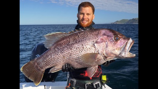 Leeuwin Lurkers – Freedive Spearfishing Western Australia